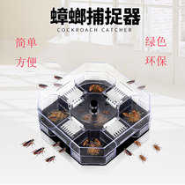 Cockroach trap to eliminate cockroach medicine House powerful Cockroach killing cockroach artifact cockroach Buster Home full nest end