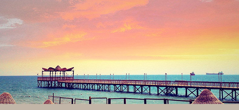 Montures de lunettes      en Metal memoire - Ref 3140723 Image 8