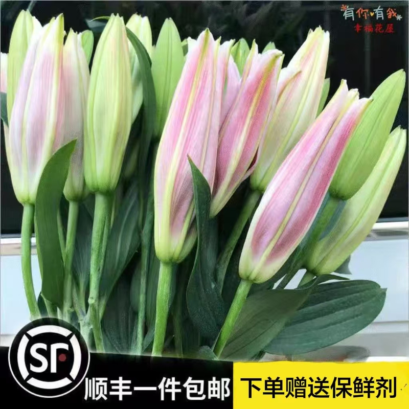 Freshly Cut Chrysanthemums and Perfume Lilies from Yunnan Dounan Base, Direct Delivery for Home Use, Suitable for Elders and Friends, with Sf Express Same-City Delivery
