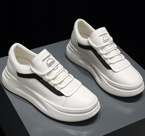 Givenivan seconds bigger and long legs Old daddy shoes casual running shoes little white sports 100 hitch mesh face women shoe wave