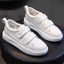 Givenivan pure temperament makes people heart ~ spring new genuine leather small white shoes ultra soft 100 hitch casual shoes