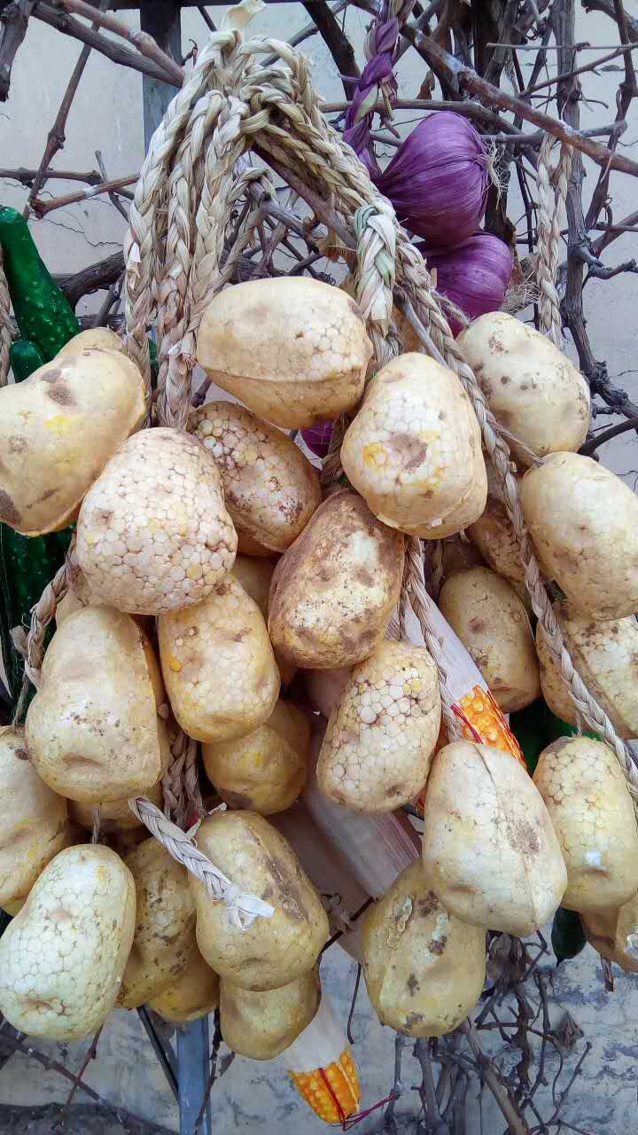 Poster mural géant - Ref 2454193 Image 30