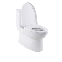 Full automatic integrated smart toilet for beautiful toilet household electric rocking control i.e. hot drying toilet 50YY