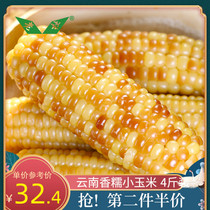 Yunnan fragrant glutinous corn small corn 4kg fresh sticky corn cob ready-to-eat pocket sticky flower glutinous bag Valley vacuum pack