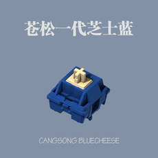 Вал 风信子轴同模 苍松一代！芝士蓝轴！康腾特代工hifi克制化现货