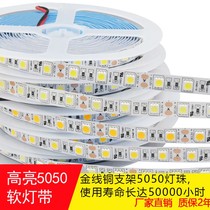 LED light with high bright 505012V24V patch gold wire copper bracket 5050 lamp beads bare board epoxy waterproof outlet