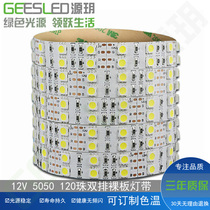 LED light belt 12V 5050 3528 5630 120 beads double row monochrome counter light belt KTV light belt