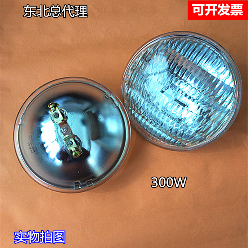 PAR46舞台聚光灯230v300w舞台效果灯