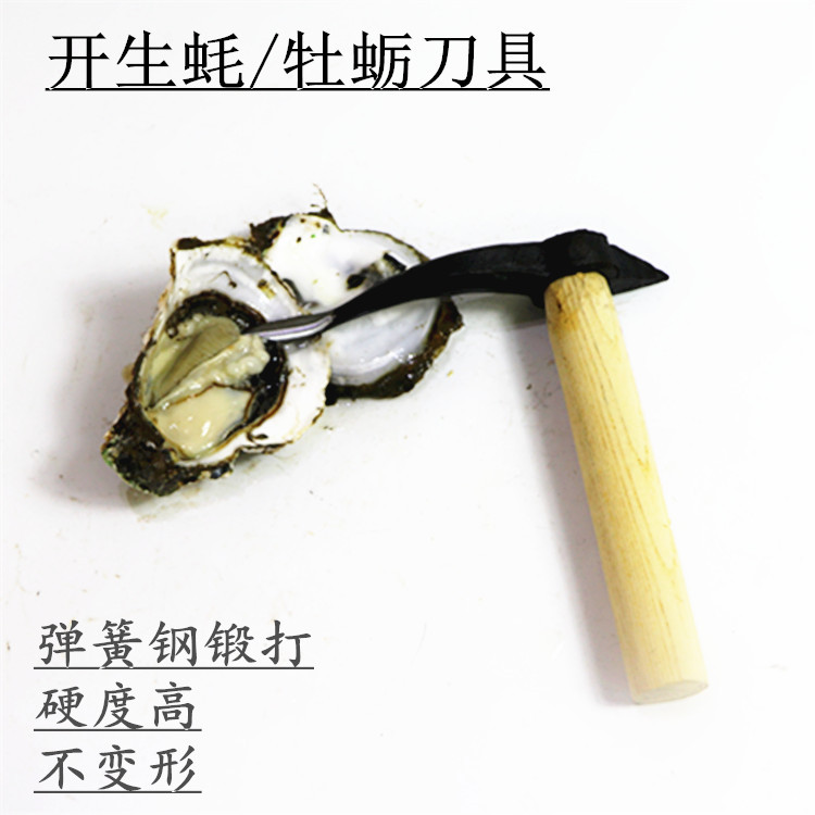 Forged Oyster Knife Raw Oyster Knife Open Oyster Scalpel Oyster Scalpel Shell Knife Wood Handle Oyster Knife Barbecue Pry Oyster Tool Open Oyster
