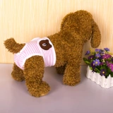 Мальчика собаки физиологические штаны Тедди золотой мао ​​-тетушка