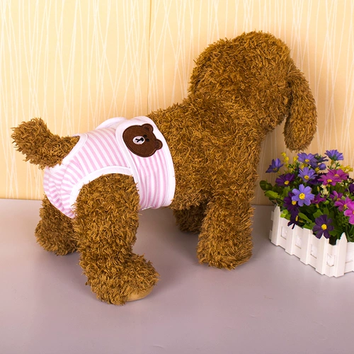 Мальчика собаки физиологические штаны Тедди золотой мао ​​-тетушка