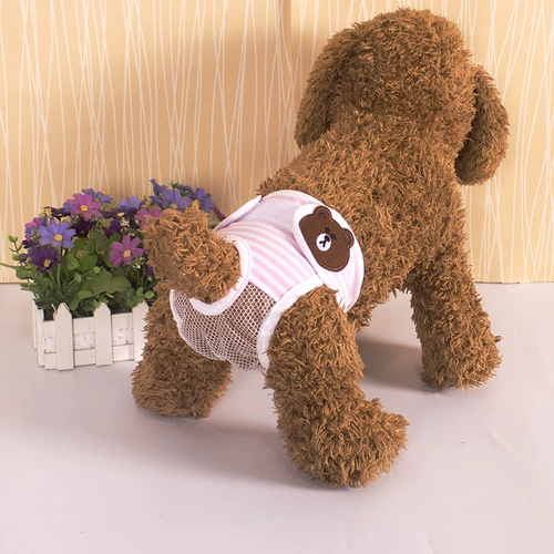 Мальчика собаки физиологические штаны Тедди золотой мао ​​-тетушка