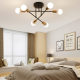 Nordic living room chandelier modern minimalist bedroom restaurant iron ceiling lamp creative personality iron industrial style lamps