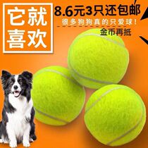 Dog toy ball golden hair Teddy bounce ball resistant bite grinding tennis pet puppy Labrador puppy training