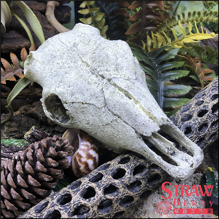 Simulation of dinosaur animal skull resin to avoid climbing pet fish tank decoration aquarium cave hermit crab landscape ornaments