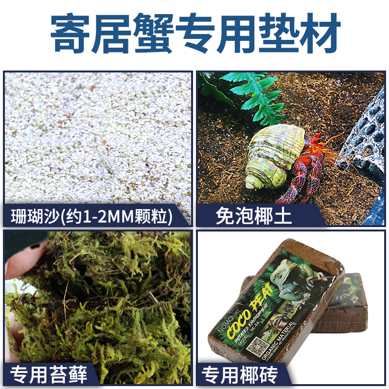 Home Crab Special Padding Philippines Coral Sand decoration Built View Base Material Bottom Sand Moss Moisturizing Coconut Broccoli