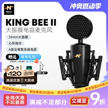 NEAT KING BEE II 2nd generation large diaphragm condenser audiobook live broadcast karaoke recording microphone