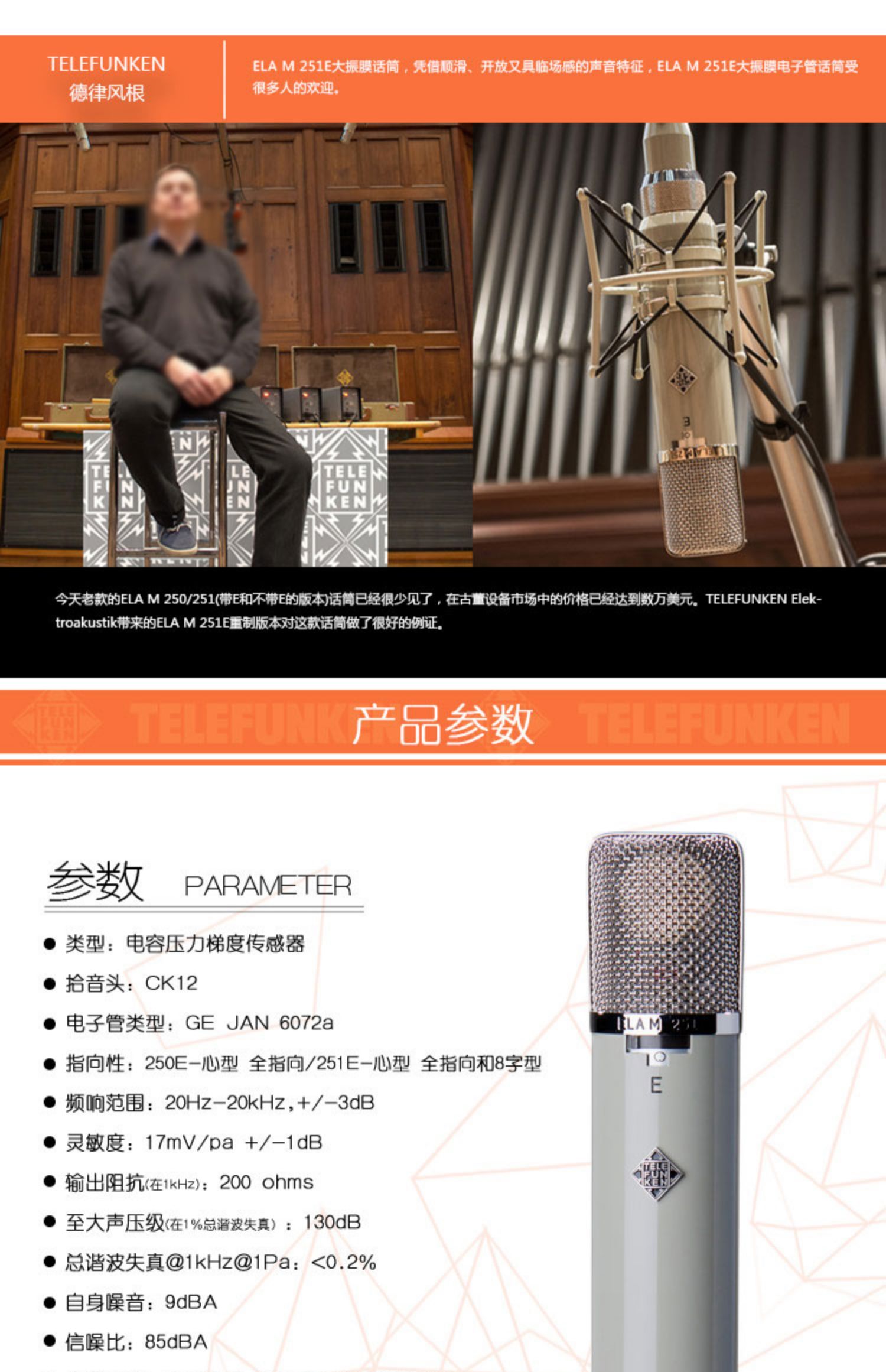 德律风根 Telefunken Ela M251E 251-E 电子管 话筒麦克风 行货