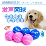 Классическая теннисная интеллектуальная игрушка, прыгучий мяч для тренировок, домашний питомец