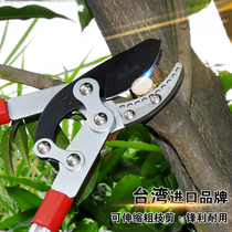 German German Shibao imported horticultural coarse branch strong shear Fruit tree pruning shears garden scissors telescopic strong shear labor saving