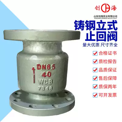 Cast steel vertical flange check valve H42H-16C fire steam water channel one-way check valve switch