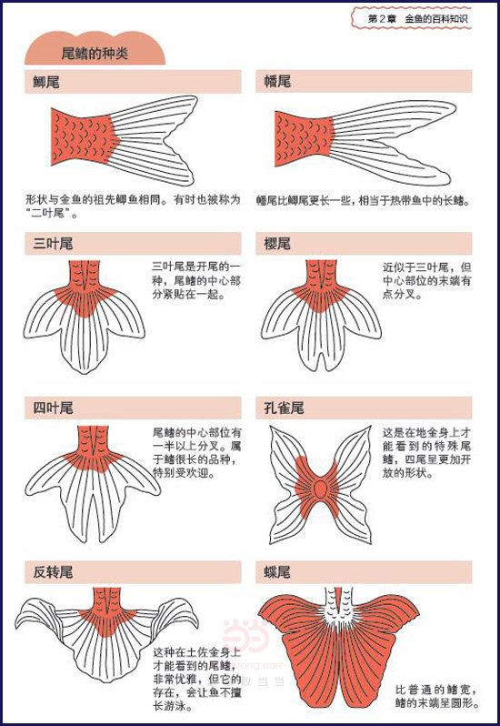 [插图]