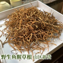 Zhuji mountainous area wild Houttuynia cordata root new product Zheer root dry goods tea herbal tea soaked in water to drink