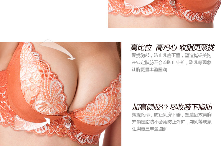 Slip K9257 - Ref 666732 Image 12