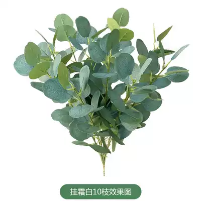 Single simulation eucalyptus leaf money leaf fake leaf green plant wedding dress home photography props flower arrangement
