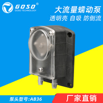 Large flow anti-corrosion step adjustable peristaltic pump Vacuum pump Strong suction pump Self-priming pump Viscous pump Pumping pump