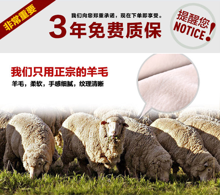 Manteau de fourrure femme - Ref 3173262 Image 15