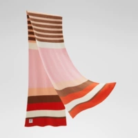 【Стиль полосы】 Оранжевый и коричневый порошок