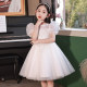 Children's dress girls high-end light luxury niche host princess dress performance clothing summer piano performance clothing