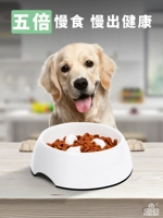 Houp Slow Bowl Dog Puppies Puppy Puppy щенки