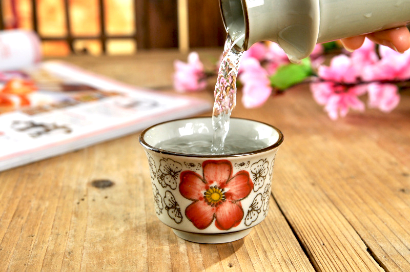 Bộ đồ gốm sứ Jingdezhen được vẽ bằng tay màu sắc phong cách Nhật Bản và nhiệt độ gió hông bình lẩu sứ màu xanh và trắng ấm ly vang đỏ