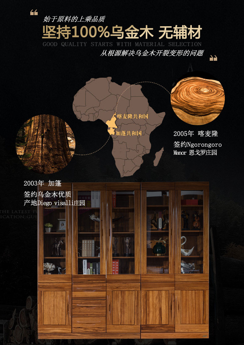 Детали (версия набора книжных шкафов) (4) .jpg