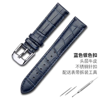 Сине-серебряная пряжка