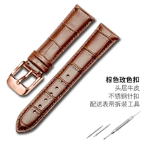 Brown-Rose Bugle Bugle