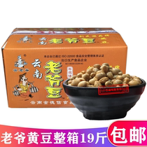 Yun Yun Yunnan Master Bean Bean Soy Bean Beef Flavor Crispy Carton 19 Jin