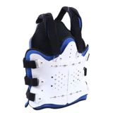 Грудное поясничное позвоночное разветвление