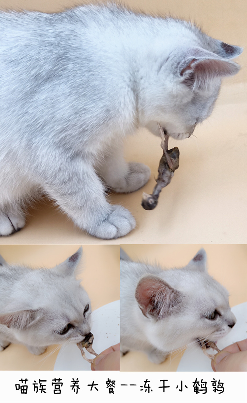 Đóng băng khô nhỏ đồ ăn nhẹ mèo pet cát dinh dưỡng thịt thực phẩm khô mèo thực phẩm bé mèo thịt đông lạnh SC50-500g cá ngừ đóng hộp