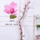 Mô phỏng cây nho mộc lan hoa dải đám cưới cây hoa tường cây nho cây nho nhựa tấn ống trang trí cửa sổ - Hoa nhân tạo / Cây / Trái cây chậu hoa giả