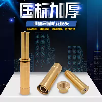 All-copper double-layer horn flower nozzle rockery pool waterscape landscape fountain nozzle 1 inch 1 5 inch DN25 40