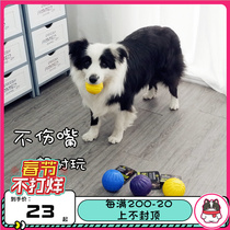 Star STARMARK Dog Toy Ball Floating Ball Bite Resistant Interactive Training Golden Trail Teddy Puppy Pet Toy