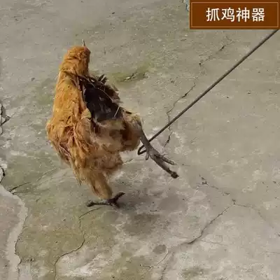 Grab chicken artifact household tools thick chicken ring catch chicken chicken feet set outdoor farm catch duck