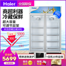 Замораживатель рекламы компания Haier/Хайер СК-650hl морозильник