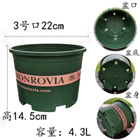 Dwarn Curon № 3 нет доверия