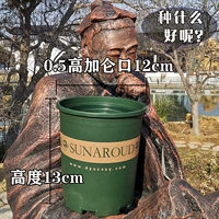 Гао Курон 0,5 Нет доверия