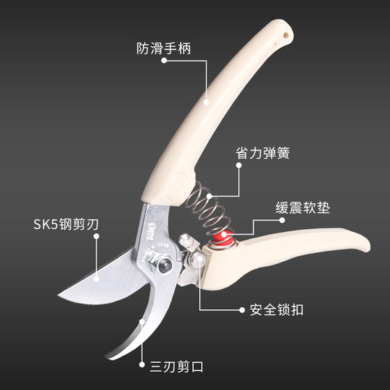 일본 수입 ARS 앨리스 가지치기 가위 앨리스 가지치기 가위 과일 나무 가지치기 가지 원예 정원 가위