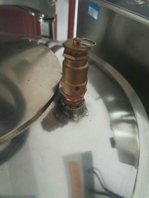 上海博迅YXQ-LS-100G 立式压力蒸汽灭菌器消毒锅配件全启式安全阀